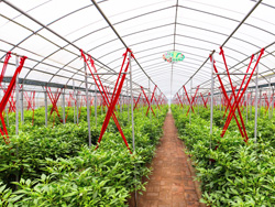 寿光市优质蔬菜植基地